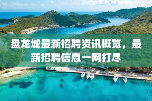 盘龙城最新招聘资讯概览，最新招聘信息一网打尽