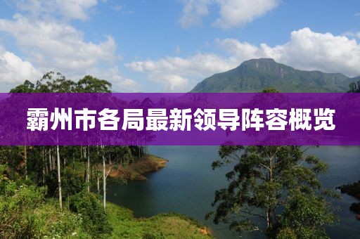 霸州市各局最新领导阵容概览