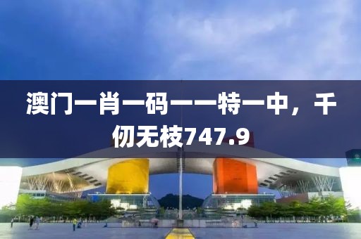澳门一肖一码一一特一中，千仞无枝747.9