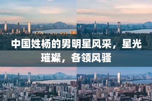 中国姓杨的男明星风采，星光璀璨，各领风骚