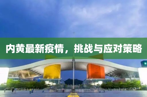 内黄最新疫情，挑战与应对策略
