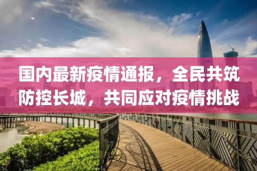 国内最新疫情通报，全民共筑防控长城，共同应对疫情挑战