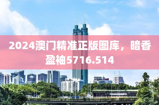 2024澳门精准正版图库，暗香盈袖5716.514