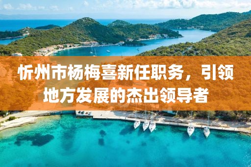 忻州市杨梅喜新任职务，引领地方发展的杰出领导者