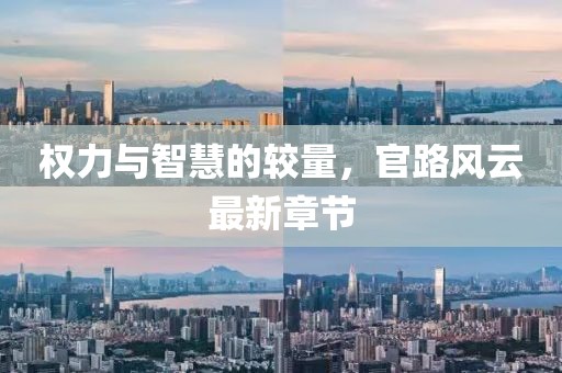 权力与智慧的较量，官路风云最新章节