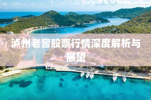 泸州老窖股票行情深度解析与展望