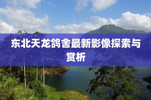 东北天龙鸽舍最新影像探索与赏析
