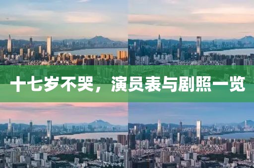 十七岁不哭，演员表与剧照一览