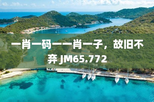 一肖一码一一肖一子，故旧不弃 JM65.772