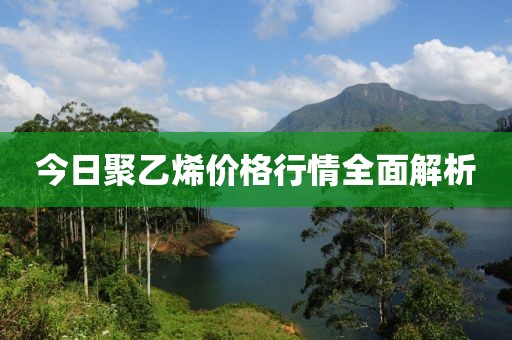 今日聚乙烯价格行情全面解析