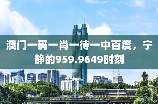 澳门一码一肖一待一中百度，宁静的959.9649时刻