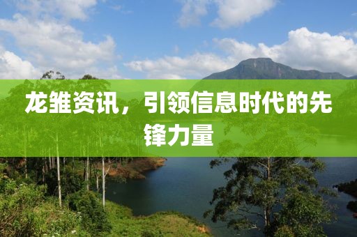 龙雏资讯，引领信息时代的先锋力量