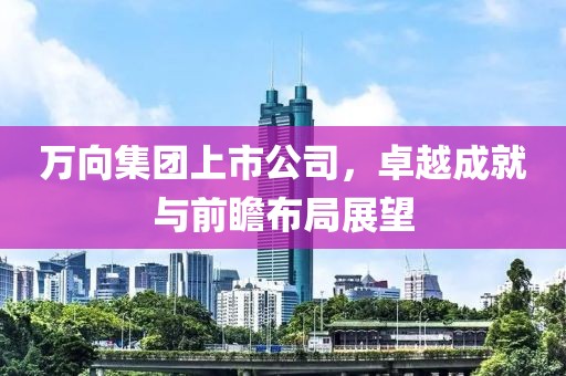 万向集团上市公司，卓越成就与前瞻布局展望