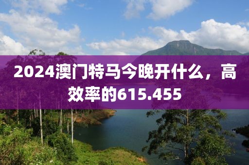 2024澳门特马今晚开什么，高效率的615.455