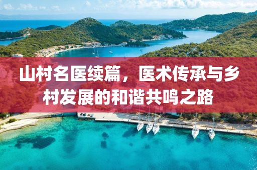 山村名医续篇，医术传承与乡村发展的和谐共鸣之路