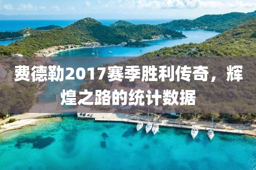 费德勒2017赛季胜利传奇，辉煌之路的统计数据