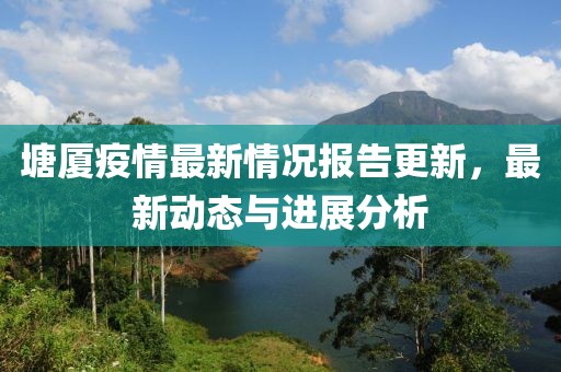 塘厦疫情最新情况报告更新，最新动态与进展分析