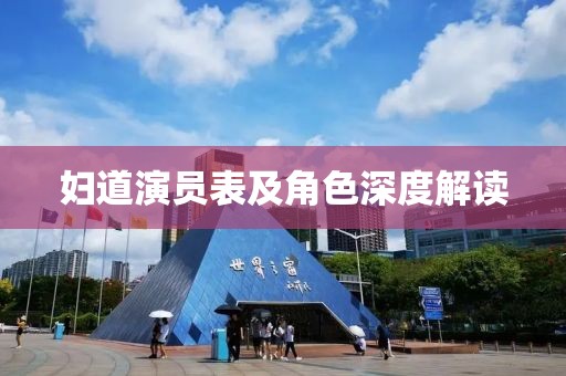 妇道演员表及角色深度解读