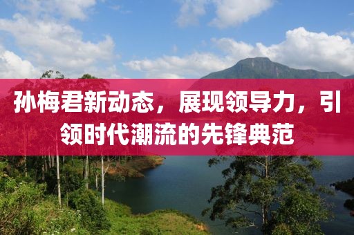 孙梅君新动态，展现领导力，引领时代潮流的先锋典范