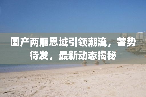 国产两厢思域引领潮流，蓄势待发，最新动态揭秘