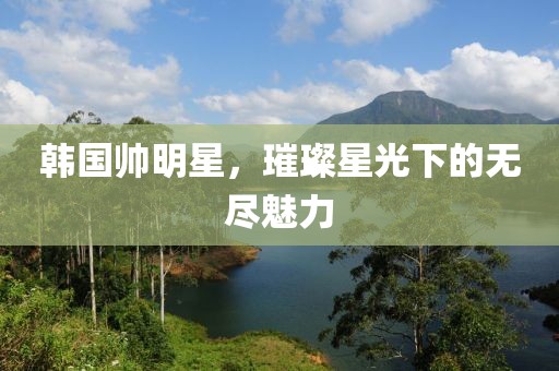 韩国帅明星，璀璨星光下的无尽魅力