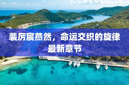 裴厉宸燕然，命运交织的旋律最新章节