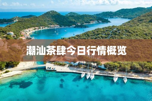 潮汕茶肆今日行情概览