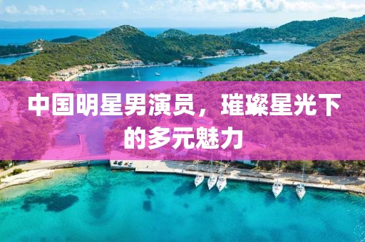 中国明星男演员，璀璨星光下的多元魅力