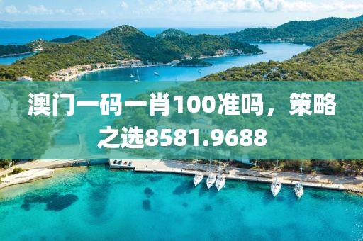 澳门一码一肖100准吗，策略之选8581.9688