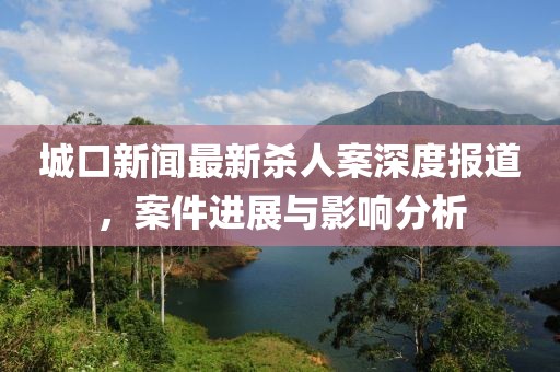 城口新闻最新杀人案深度报道，案件进展与影响分析