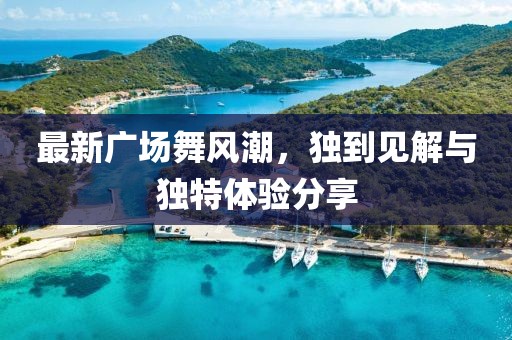 最新广场舞风潮，独到见解与独特体验分享