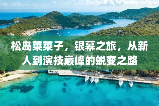 松岛菜菜子，银幕之旅，从新人到演技巅峰的蜕变之路
