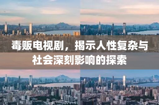 毒贩电视剧，揭示人性复杂与社会深刻影响的探索