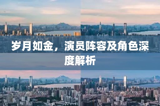 岁月如金，演员阵容及角色深度解析