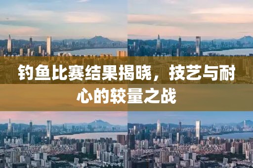 钓鱼比赛结果揭晓，技艺与耐心的较量之战