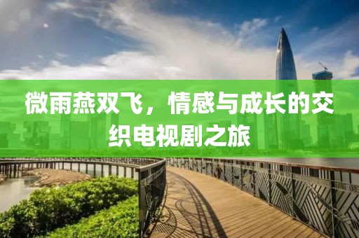 微雨燕双飞，情感与成长的交织电视剧之旅