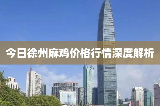 今日徐州麻鸡价格行情深度解析