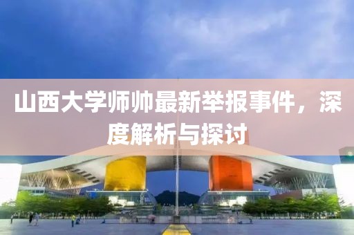 山西大学师帅最新举报事件，深度解析与探讨