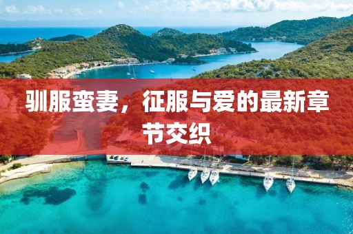 驯服蛮妻，征服与爱的最新章节交织