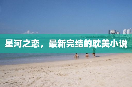 星河之恋，最新完结的耽美小说