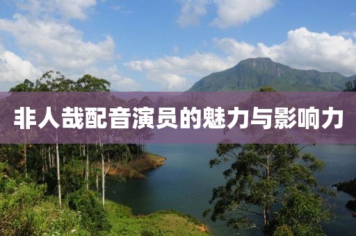 非人哉配音演员的魅力与影响力
