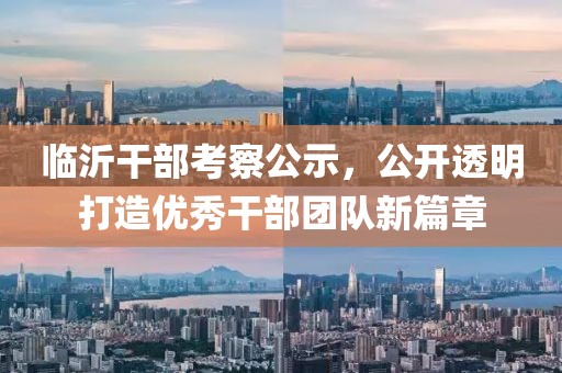 临沂干部考察公示，公开透明打造优秀干部团队新篇章