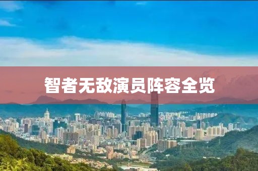 智者无敌演员阵容全览