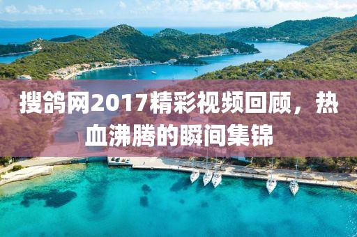 搜鸽网2017精彩视频回顾，热血沸腾的瞬间集锦