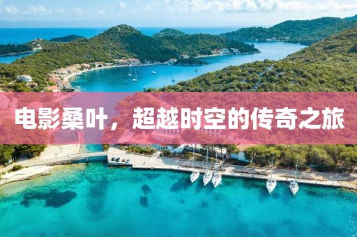 电影桑叶，超越时空的传奇之旅