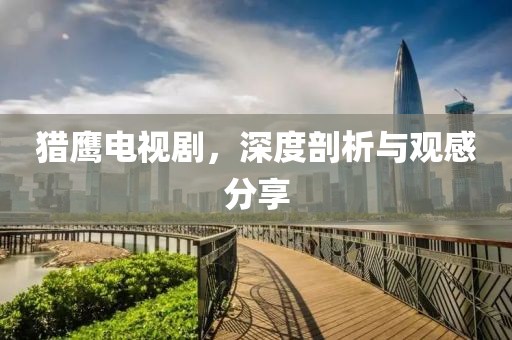 猎鹰电视剧，深度剖析与观感分享