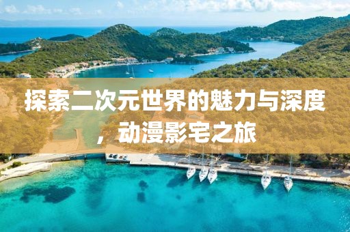 探索二次元世界的魅力与深度，动漫影宅之旅