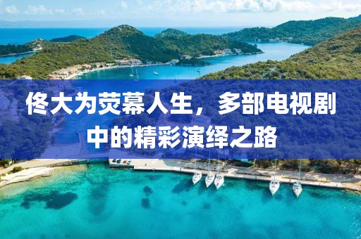 佟大为荧幕人生，多部电视剧中的精彩演绎之路