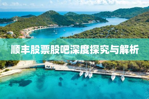 顺丰股票股吧深度探究与解析