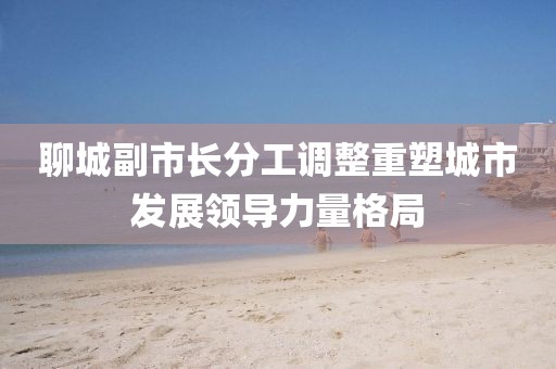 聊城副市长分工调整重塑城市发展领导力量格局